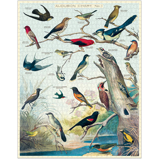 Birds / 1000pc Vintage Poster Puzzle / Cavallini