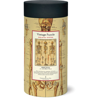 Skeletal System / 1000pc Vintage Poster Puzzle / Cavallini