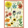 Wildflowers